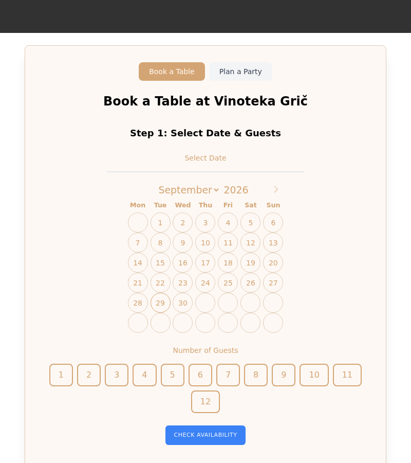 Your standard booking page — what guests see while your website is hidden