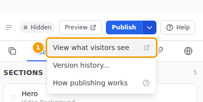 View what visitors see (1), in the menu next to Publish