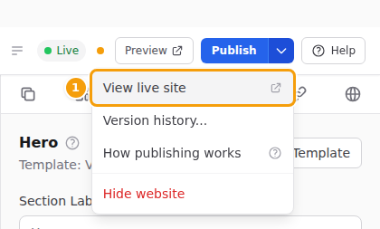 View live site (1) in the menu next to Publish