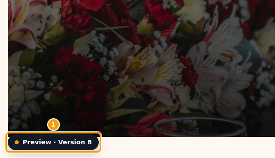 An older version in its own tab, with the Preview · Version 8 label (1)